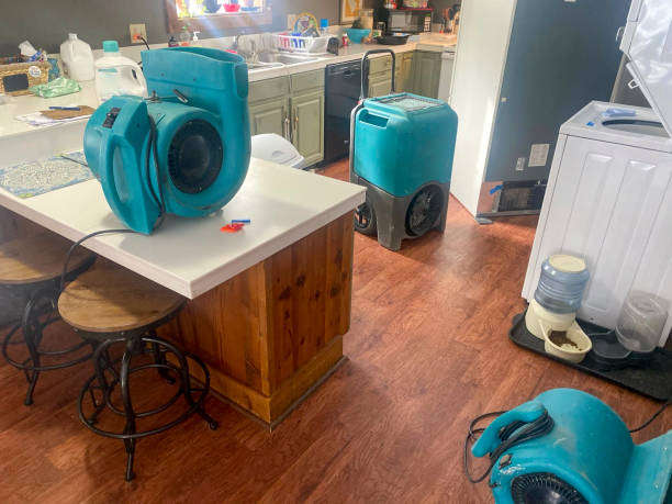 Carpet water damage restoration in Ragland, AL