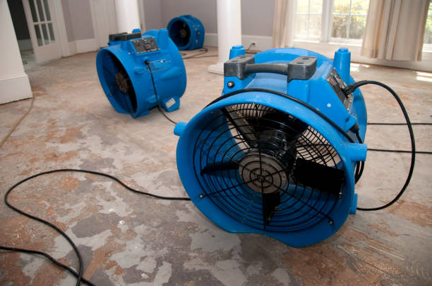 Best Water damage restoration cost  in Ragland, AL
