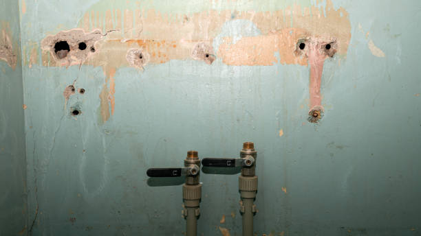 Local water damage restoration in Ragland, AL