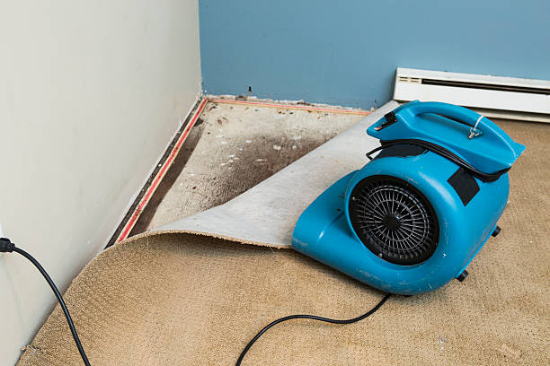  Ragland, AL Water damage restoration Pros